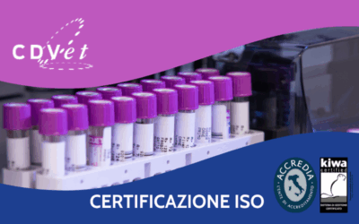 CDVet ottiene la Certificazione ISO 9001:2015, garanzia di qualità