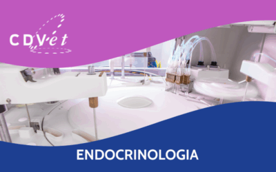 Nuovi intervalli di riferimento Endocrinologia