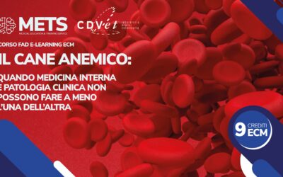 CDVet Academy: “il cane anemico” è il primo corso ECM su METS