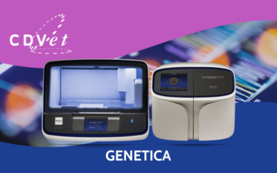 CDVet introduce in Italia la tecnologia NGS che rivoluziona la genetica veterinaria