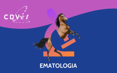 Nuovi intervalli ematologici per il cavallo: uno studio condiviso tra CDVet Research e UniCam