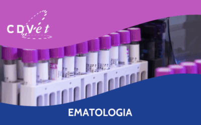 Una novità nella diagnostica ematologica: IPF