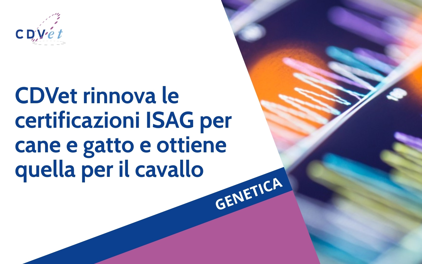 copertina articolo per rinnovo certificazione isag cane, gatto e cavallo