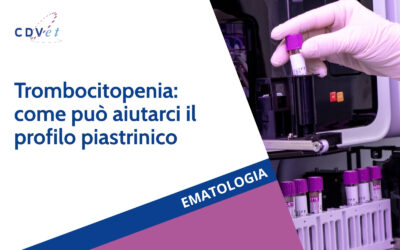 Trombocitopenia: come può aiutarci il profilo piastrinico