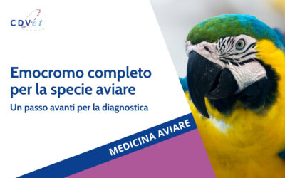 EMOCROMO COMPLETO per la specie aviare: un passo avanti nella diagnostica.